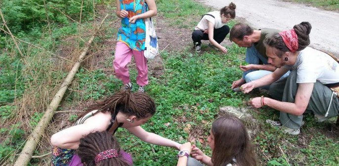 Zdjęcie przedstawia grupę młodzieży zbierającą zioła na leśnej łące